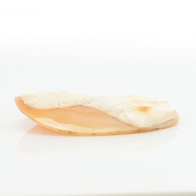 Cameo Old On Shell Gentleman