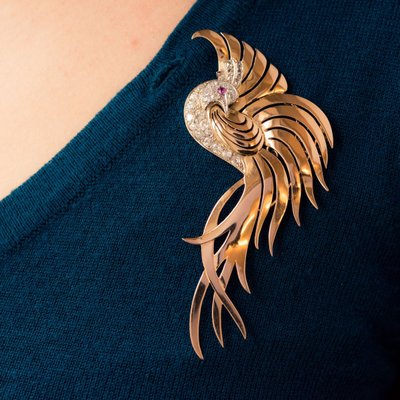 Spilla con diamanti Oiseau De Paradis