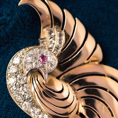 Spilla con diamanti Oiseau De Paradis