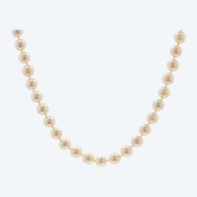 Choker Cultured Pearl Necklace