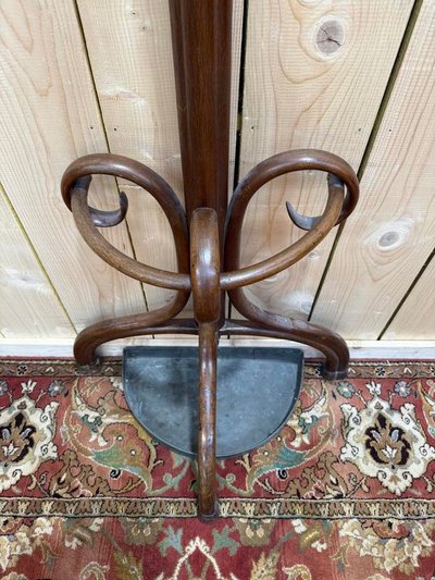 Coccole - pappagallo in legno curvo