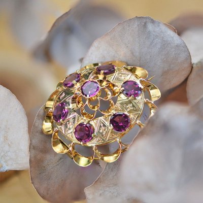 Antike Gold- und Granatbrosche
