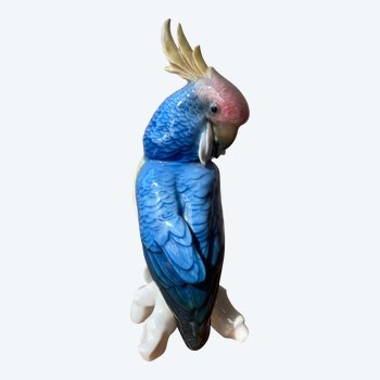 Saxony porcelain parrot