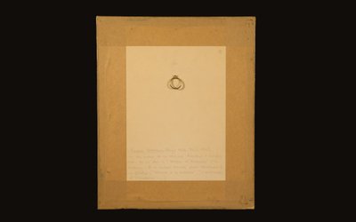 Engraved portrait François Girardon