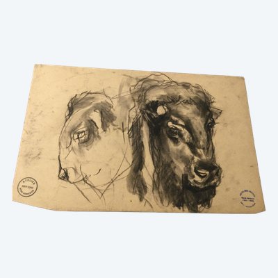 Der Bison von René Hérisson