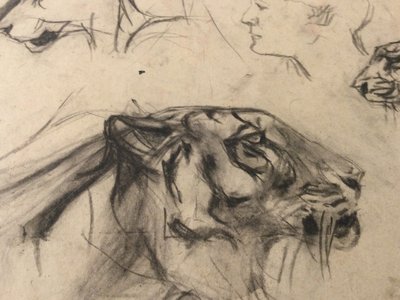 Drawing by René Hérisson