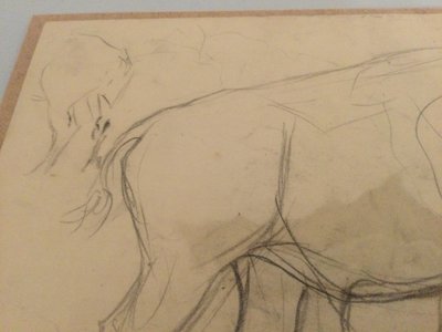 Drawing by René Hérisson
