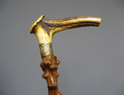 Canna di corno di cervo.