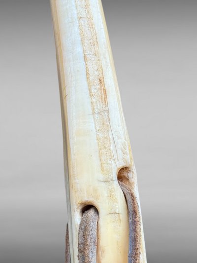 Groenlandia, arpione Inuit con punta di tricheco