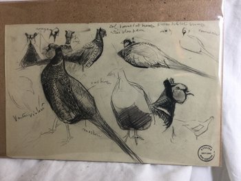 Drawing by René Hérisson