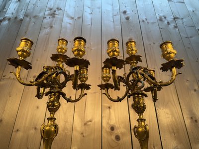 Pair of Louis XV style candelabra in gilded bronze signed Ferdinand Barbedienne