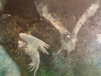 Jacques VAN DEN BUSSCHE - Paysage fantastique
