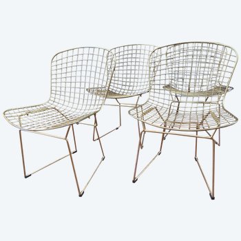 Set di 4 sedie Dlg Bertoia