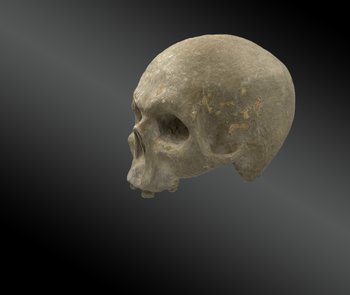 Vanity, Skull In Carved And Lacquered Wood. XVIIIth