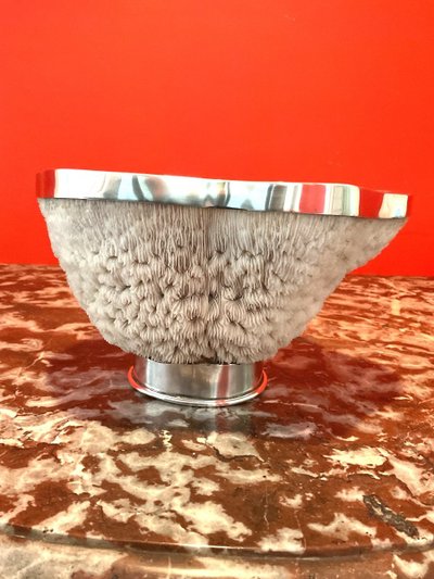 Important Coral Bowl Set with a Silver Metal Border