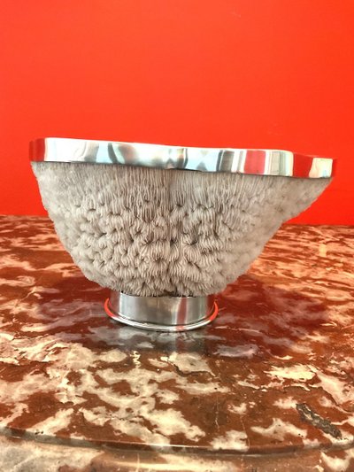 Important Coral Bowl Set with a Silver Metal Border