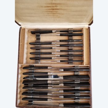 Bellissimo set di coltelli da tavola in argento massiccio ed ebano