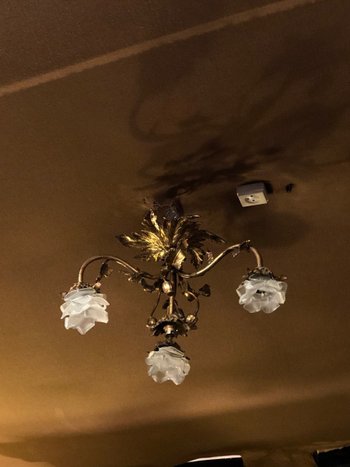 Chandelier - Ceiling light - Art Nouveau - Gilded bronze - About 1900