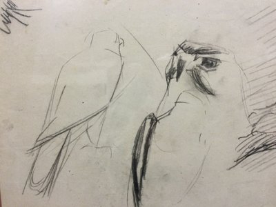 Rapace, par René Hérisson 