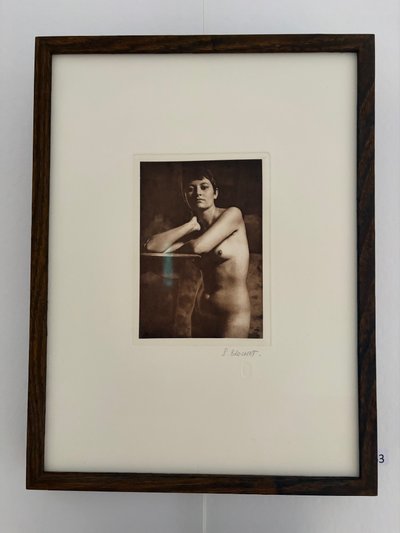 Pierre Brochet, Garance, Heliogravure