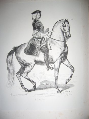 Auf Reiten und Gestüten von Graf Savary de Lancosmes- Breves 1843
