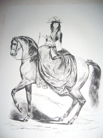 Auf Reiten und Gestüten von Graf Savary de Lancosmes- Breves 1843