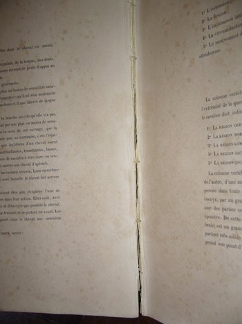 Auf Reiten und Gestüten von Graf Savary de Lancosmes- Breves 1843
