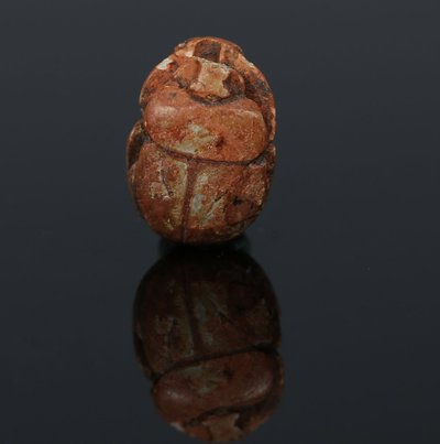 Scarabeo reale di Neferkarê (Shabaka) in steatite – XXV dinastia – con certificato di autenticità