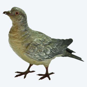             Pigeon Biset Bronze From Vienna real size Geschultz 19th century