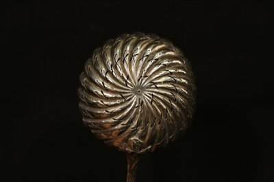 Shaker in argento massiccio 49 g