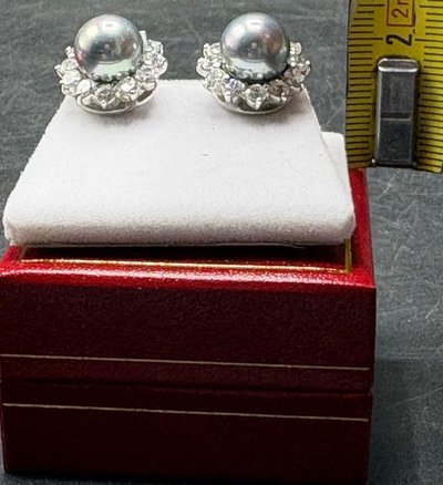 SILBERNE EARL & OXIDBOX