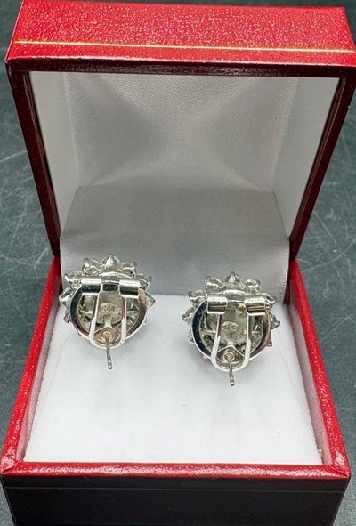 SILBERNE EARL & OXIDBOX