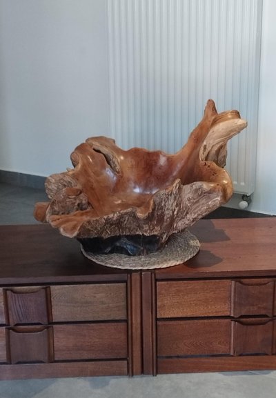 Skulpturales Mittelstück aus Holz, organisch geschnitten, brutalistisch.