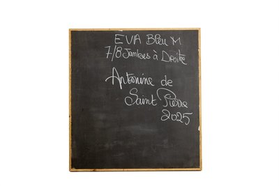 Antonine de Saint Pierre. Pannello Eva in metallo laccato blu navy. Contemporaneo LS6527PATFAB3363