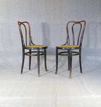 Two KOHN No. 48 chairs from 1890, "original condition," no. Thonet