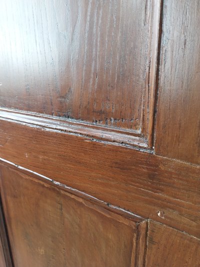 4 19th century antique doors - 4 panels