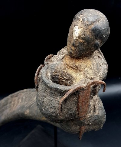 Corne fétichée, culte Vaudou, peuple Fon, Bénin
