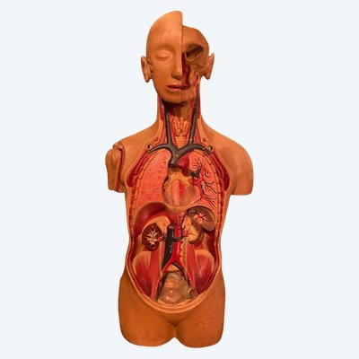 Large Latex Flayed Figure Dated 1972