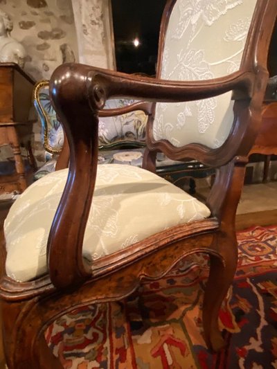 Armchair with Walnut Frame from the 18th Century