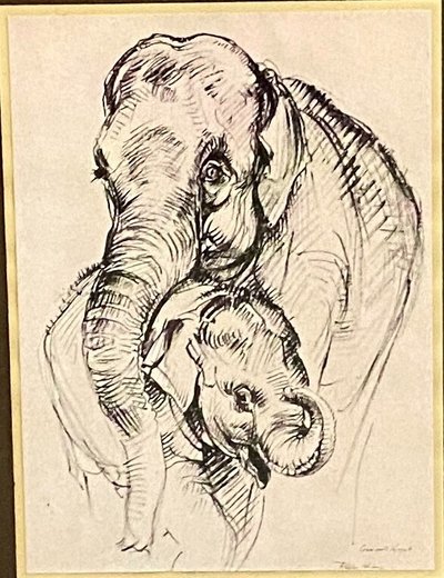 Dessin par Josef Woldemar Keller-Kühne éléphants XXe Le bébé