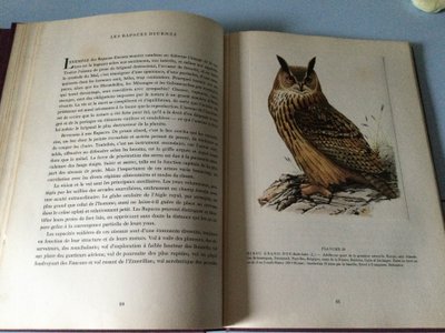 Due libri sugli uccelli