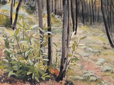Marcelle Ladeuil, Undergrowth In A Birch Forest