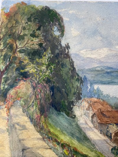Route de montagne ensoleillée 