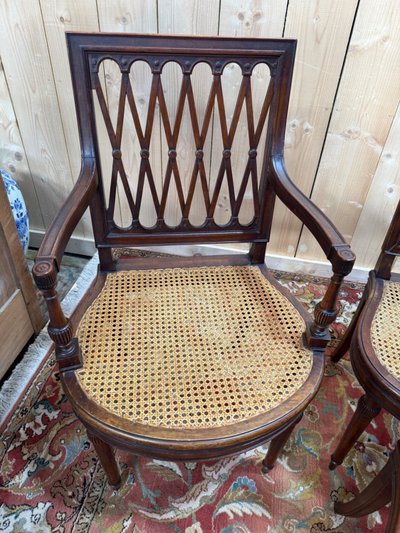 Suite of 8 Louis XVI seats in solid mahogany, canework