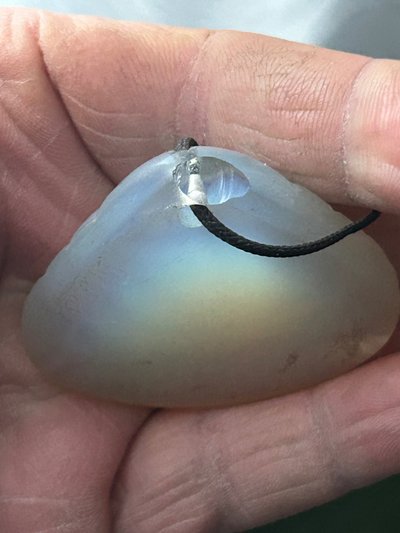 René Lalique ( 1860-1945) pendant shell bluish glass - art nouveau