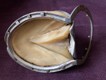 Calamaio a ferro di cavallo - XIX secolo