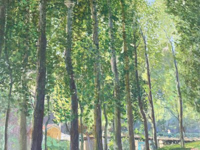 Les grands arbres 