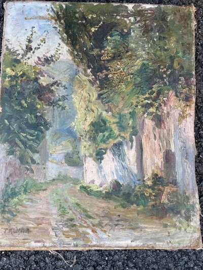 Sentiero del villaggio
