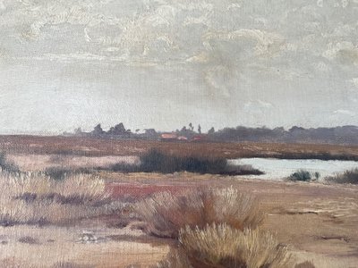 marsh landscape