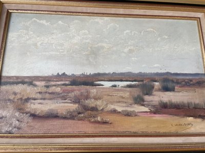 marsh landscape